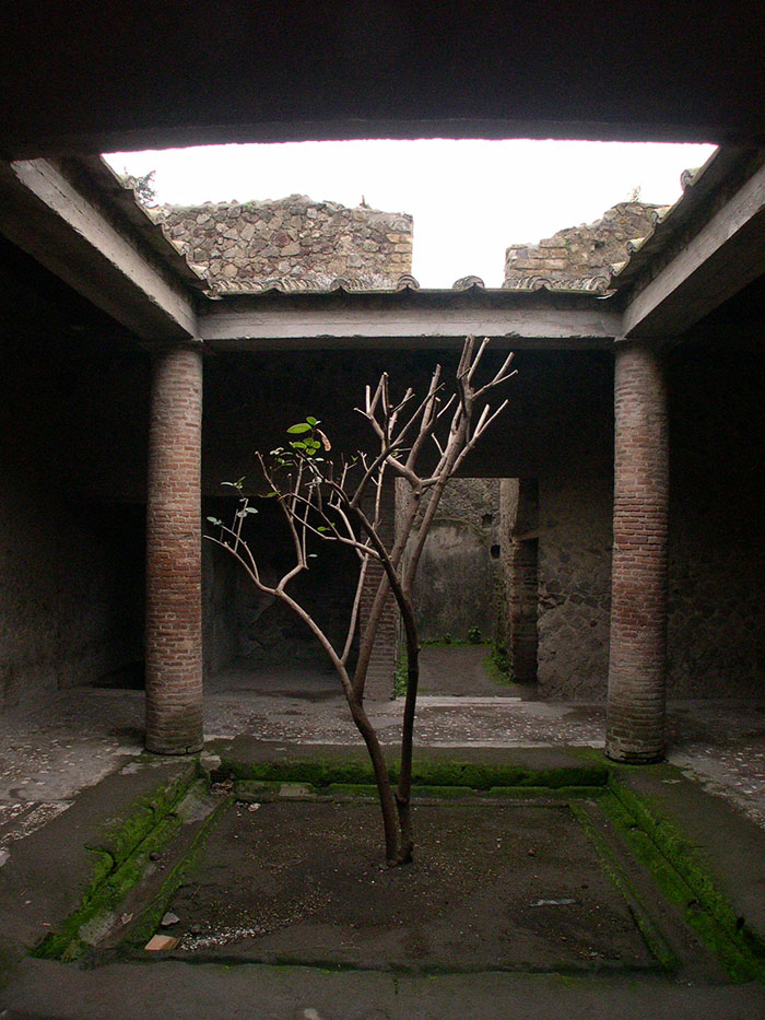Villa of the mysteries atrium tetrastyle