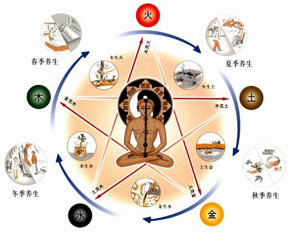 chinese medicine1