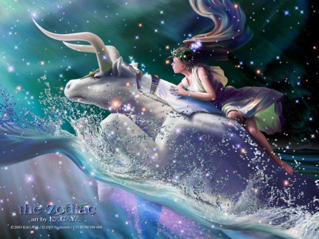 Taurus 640x480