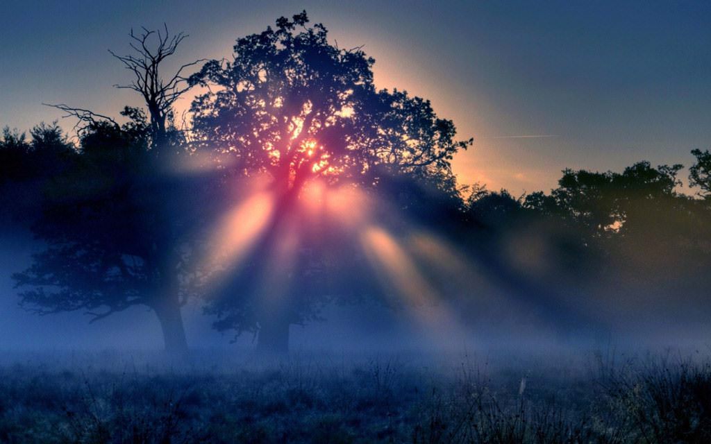 nea acropoli metathanatia zwh trees sunset